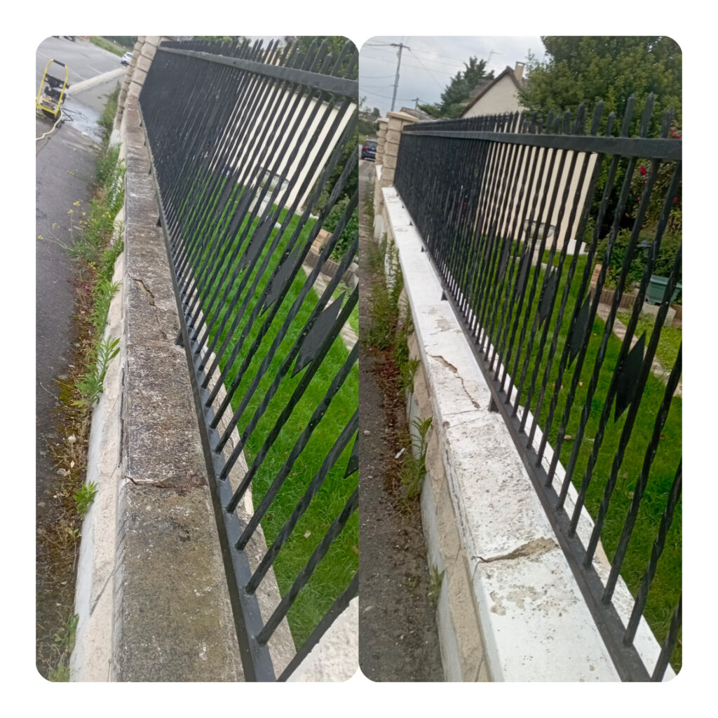 service_nettoyage_entretien_extérieur_jardin_grillage-Ile_de_France